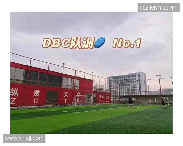 重庆飞盘队区域防守体系解析与战术创新探讨